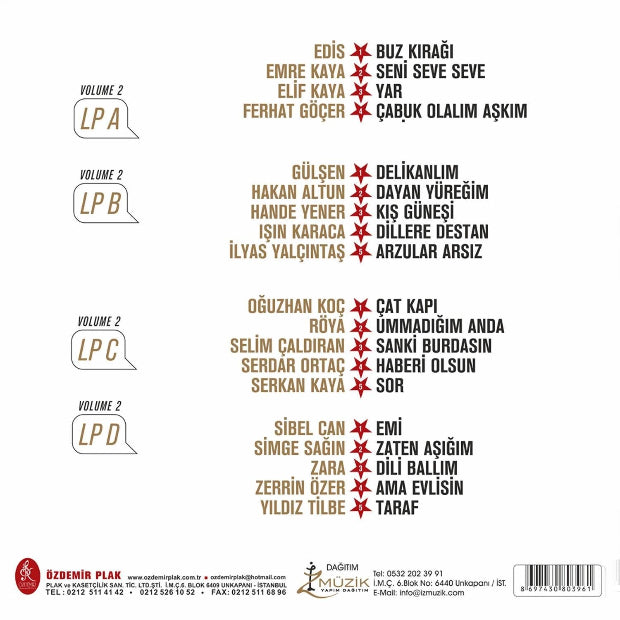 Yıldız Tilbe Plak |Yıldız Tilbe'nin Yıldızlı Şarkıları | Cilt 2 (Arabesk Plak) Schallplatte | LP